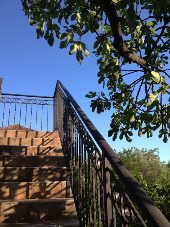Apartmani Tivat Kaludjerovic Oda fotoğraf